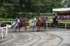 Immagine <b>REG_9169</b>